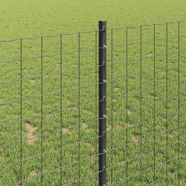 Visualizzazione immagine prodotto 4 di 14