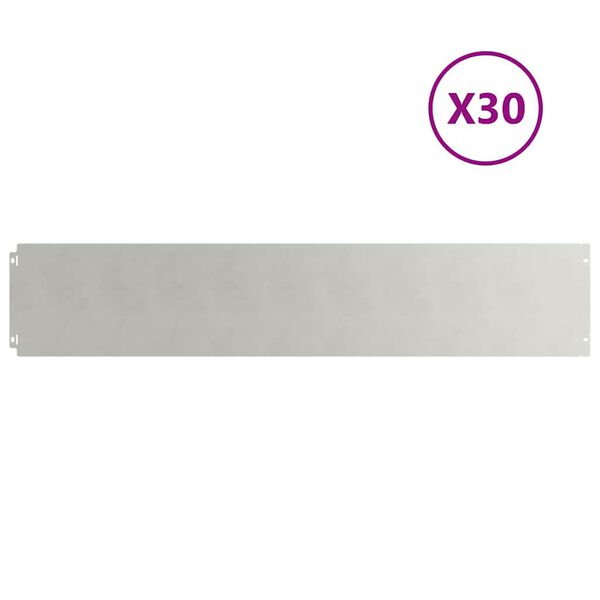 vidaXL Bordure per Prato 30 pz 20x103 cm Acciaio Inossidabile