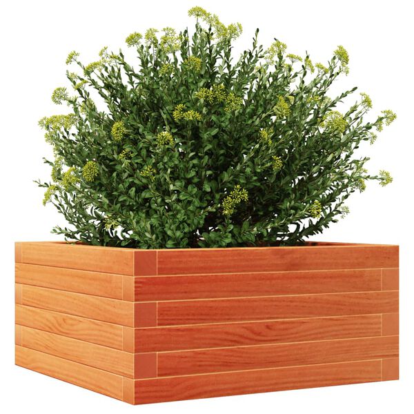 vidaXL Fioriera Giardino Marrone Cera 50x50x23 cm Legno Massello Pino