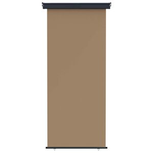 vidaXL Tenda laterale per balcone 100 x 250 cm