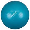 Avento Palla per Fitness/Palestra Diametro 65 cm Blu