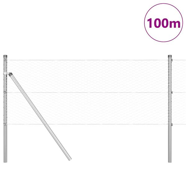 vidaXL Palo della recinzione Argento 100 x 0,6 m (rete da 25 mm)