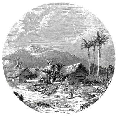 WallArt Carta da Parati Circolare Landscape of Guadeloupe 142,5 cm
