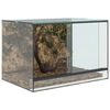 vidaXL Terrario con archiviazione Trasparente 60 x 40 x 40 cm Vetro