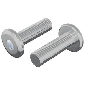 vidaXL Vite 2 pz Argento 8 x 25 mm Acciaio