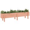 vidaXL Fioriera Rialzata Giardino 160x30x38 cm Legno Massello Douglas