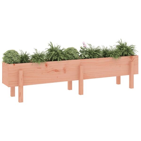 vidaXL Fioriera Rialzata Giardino 160x30x38 cm Legno Massello Douglas