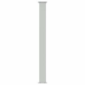 vidaXL Tenda laterale retrattile 300 x 100 cm Poliestere Rettangolare