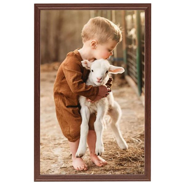 vidaXL Cornici Foto Collage 5 pz per Tavolo Marrone 21x29,7cm in MDF