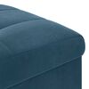 vidaXL Pouf contenitore con cuscino Blu 40 x 40 x 45 cm Velluto