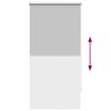 Tenda a rullo oscurante 60 x 120 cm Grigio