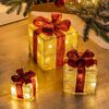 HI Decorazioni Scatole Regalo di Natale con Luci LED e Nastri Rosa 3pz