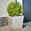 vidaXL Fioriere da Giardino 2 pz 50x50x50 cm in Acciaio Inox