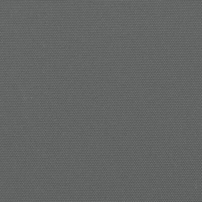 vidaXL Tenda da Sole Laterale Retrattile Antracite 160x1200 cm