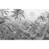 Komar Foto Murale Amazonia Nero e Bianco 400x250 cm