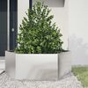 vidaXL Fioriera da Giardino Esagono 138x120x45 cm in Acciaio Inox