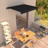 vidaXL Tenda da Sole Retrattile Manuale 350x250 cm Antracite
