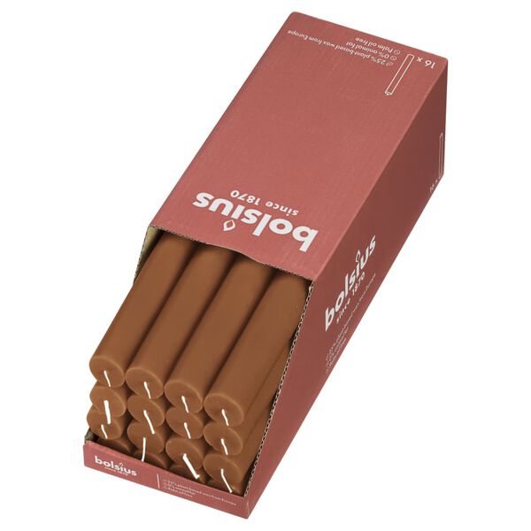 Bolsius Candele da Tavola Shine 16 pz 27 cm Marrone Speziato