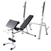 vidaXL Panca Multifunzione con Rack Bilanciere e Set Manubri 120 kg