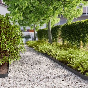 vidaXL Bordura per Prato 50 pz 10 x 103 cm Acciaio laminato a freddo