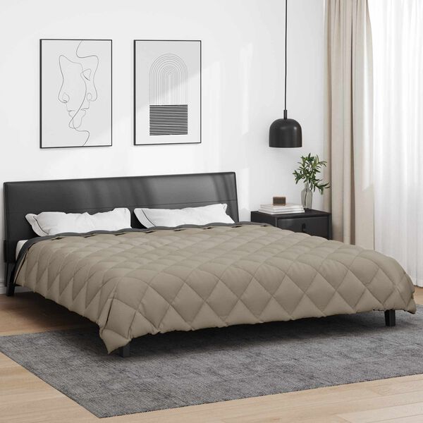 vidaXL Duvet Invernale Grigio chiaro e Antracite 220 x 200 cm