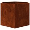 vidaXL Fioriera Ruggine 60x60x45 cm Acciaio Corten
