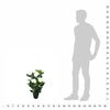 Immagine miniatura del prodotto 3 di 3