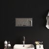 vidaXL Specchio da Bagno con Luci LED 20x40 cm