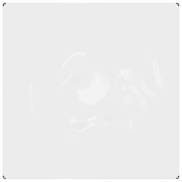 vidaXL Telo con Occhielli Trasparente 2 x 2 m Polietilene