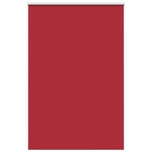 vidaXL Tenda a Rullo Oscurante 160x210 cm Larghezza Tessuto 156,6 cm