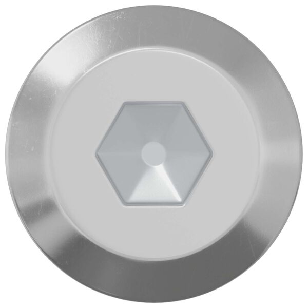 vidaXL Vite 12 pcs Argento M6 x 60 mm Acciaio