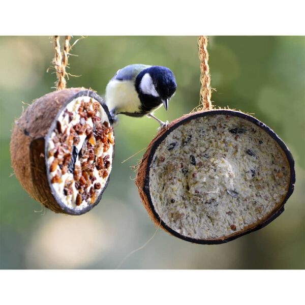 dobar Mezzi Noci di Cocco Ripieni 5 Gusti per Uccelli Selvatici 10pz