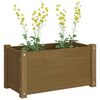 vidaXL Fioriere 2 pz Ambra 60x31x31 cm in Legno Massello di Pino