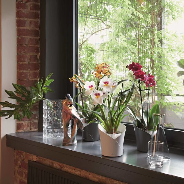 LECHUZA Fioriera ORCHIDEA ALL-IN-ONE Ardesia Opaco