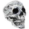 vidaXL Teschio di Halloween SPOOKA 2 pz Bianco 12 x 15 x 17,5 cm