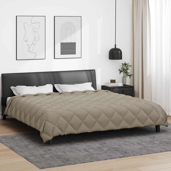 vidaXL Duvet Invernale Grigio chiaro 220 x 200 cm Microfibra