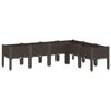 vidaXL Fioriera da Giardino con Gambe Marrone 160x120x42 cm in PP