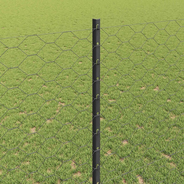 Visualizzazione immagine prodotto 4 di 14