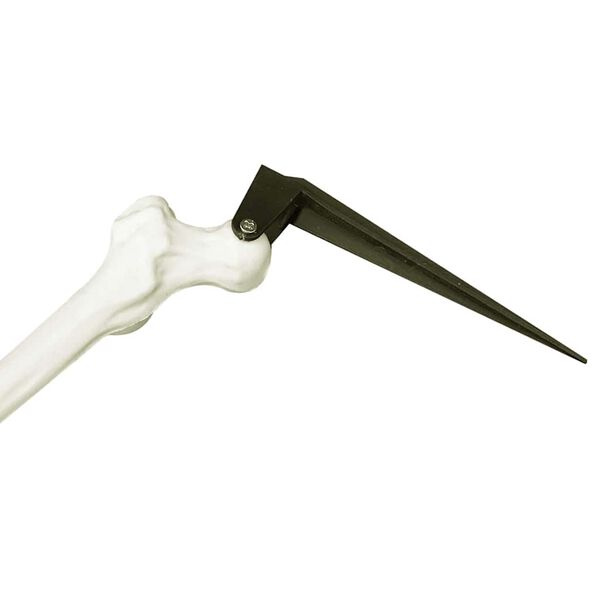 vidaXL Scheletro di Halloween Bianco 45,5 x 13 cm Plastica