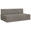 vidaXL Divano Letto Pieghevole Grigio Chiaro 152 x 86,5 x 60 cm