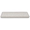 vidaXL Tappeti Adesivi Scale Aspetto Sisal 30 pz 65x21x4 cm Platino