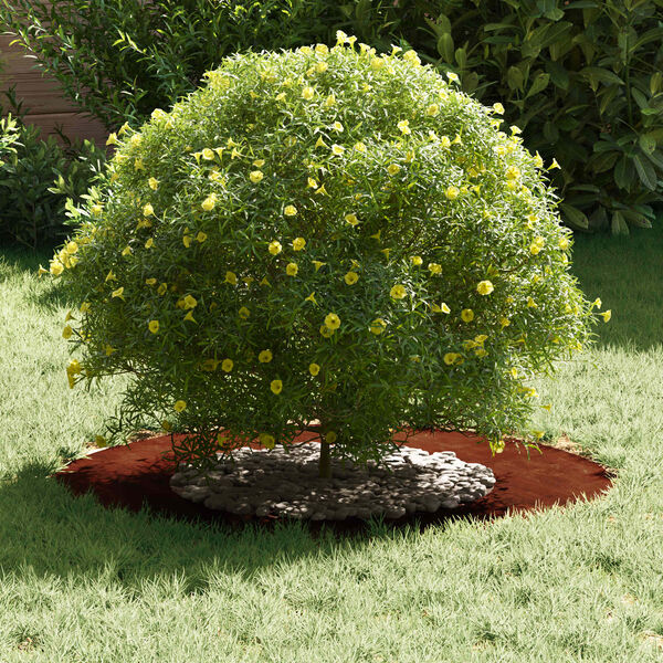 vidaXL adatto per Anelli d'Albero Piatto 5 pcs Marrone &Oslash;40 / 70 cm