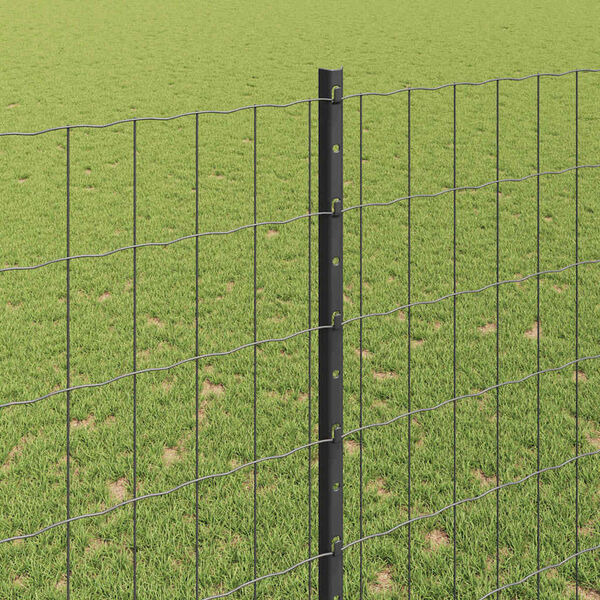 Visualizzazione immagine prodotto 4 di 14