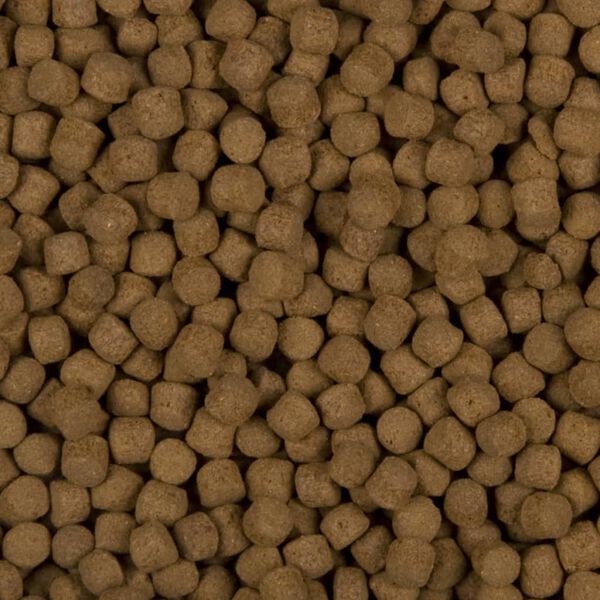 Sanikoi Excellent All-Round 5500 g