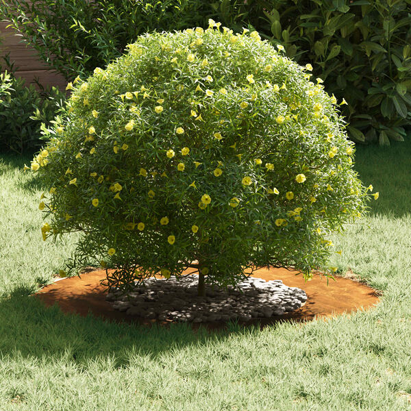 vidaXL adatto per Anelli d'Albero Piatto 5 pcs Marrone &Oslash;40 / 70 cm