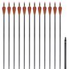 vidaXL Frecce Standard 12 pz per Arco Ricurvo 30" 0,76 cm in Carbonio