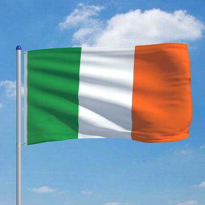 vidaXL Bandiera dell'Irlanda con Pennone in Alluminio 6 m