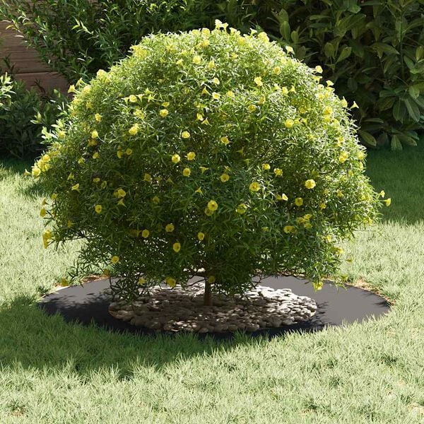 vidaXL adatto per Anelli d'Albero Piatto 5 pcs Nero &Oslash;40 / 70 cm Acciaio