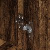 Immagine miniatura del prodotto 9 di 12