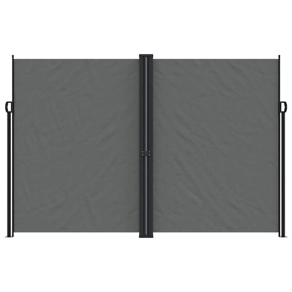 vidaXL Tenda da Sole Laterale Retrattile Antracite 220x1000 cm